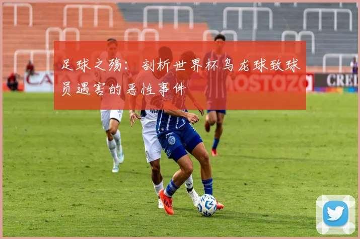 足球之殇：剖析世界杯乌龙球致球员遇害的恶性事件