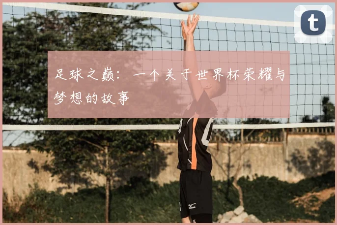 足球之巅：一个关于世界杯荣耀与梦想的故事